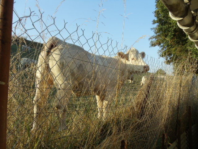 Avatar de l’utilisateur