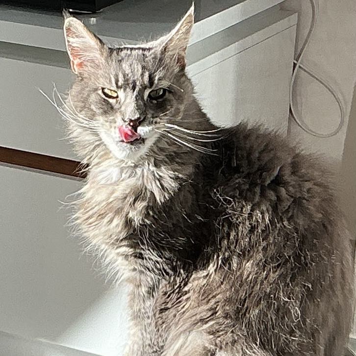 Avatar de l’utilisateur