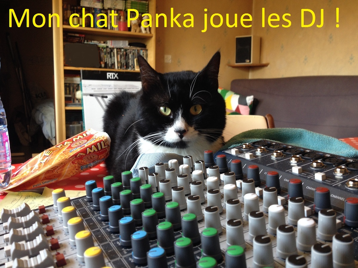 Avatar de l’utilisateur