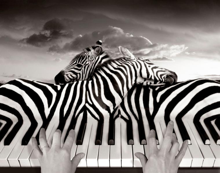 Avatar de l’utilisateur