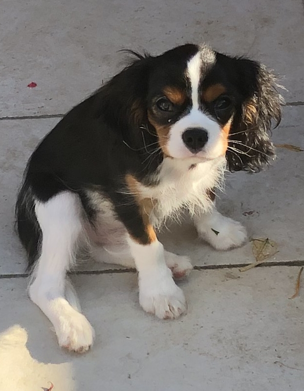 Avatar de l’utilisateur