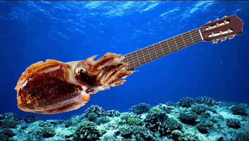 Avatar de l’utilisateur