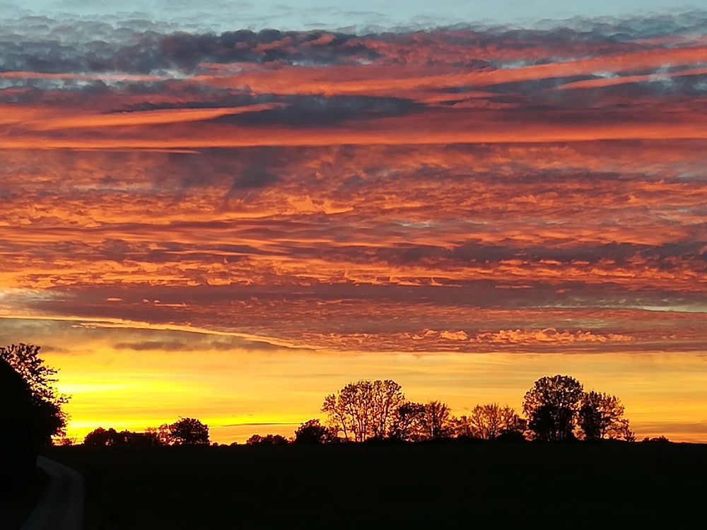 Avatar de l’utilisateur