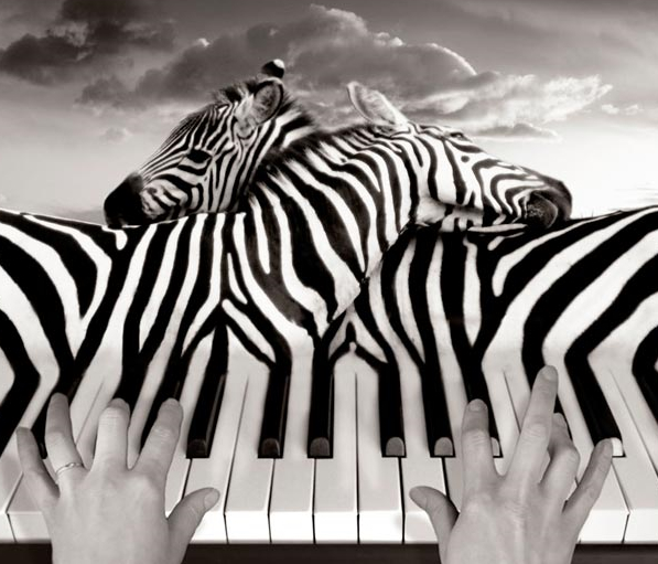 Avatar de l’utilisateur