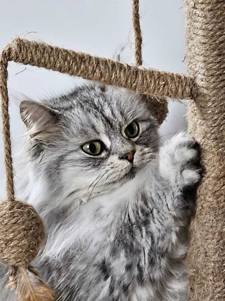 Avatar de l’utilisateur